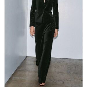 Zara Classic velvet pants